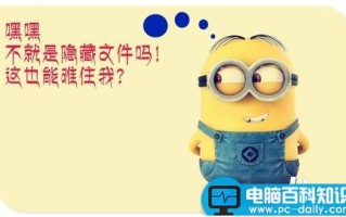 如何彻底隐藏你的隐藏文件?