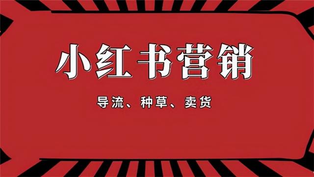 超详细的小红书运营策略分享，还不赶快来get？-第2张图片-90博客网