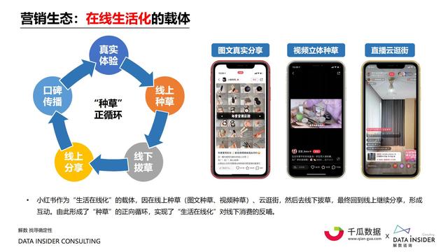 2021小红书内容营销数据洞察报告-第13张图片-90博客网 2021小红书内容营销数据洞察报告-第13张图片-90博客网