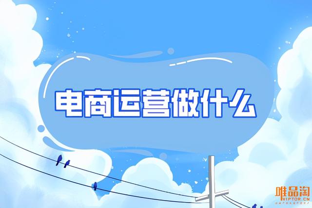电商运营一般做什么-第1张图片-90博客网