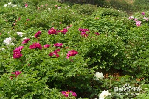 网上怎么赚钱 网络赚钱需要注意哪些东西-第2张图片-90博客网