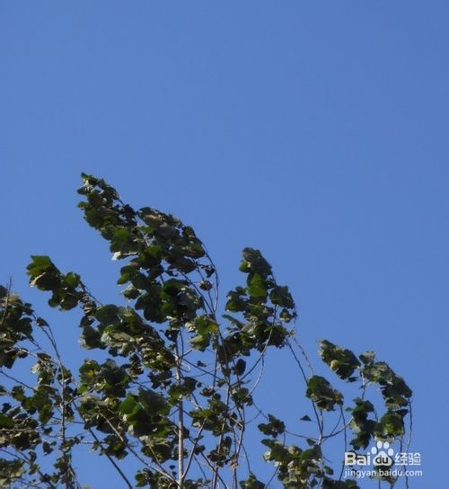 网上怎么赚钱 网络赚钱需要注意哪些东西-第4张图片-90博客网