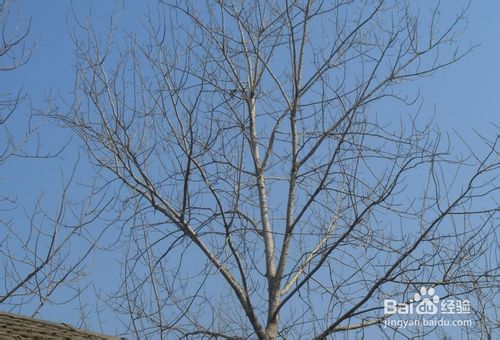 网上怎么赚钱 网络赚钱需要注意哪些东西-第3张图片-90博客网