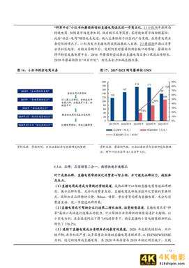 2021年中国直播电商行业发展前景及MCN机构转型升级研究报告-第10张图片-90博客网