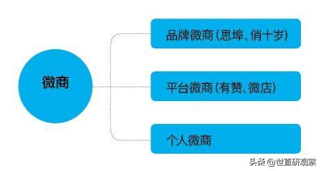 2021年度社交零售十大产业发展报告——微商-第2张图片-90博客网